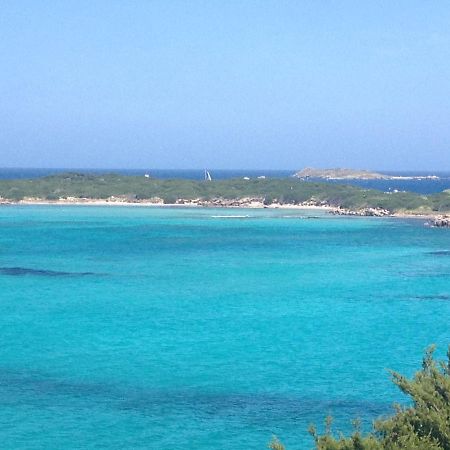 Grand Studio Route Des Sanguinaires Tres Belle Vue Mer Διαμέρισμα Αζάτσιο Εξωτερικό φωτογραφία