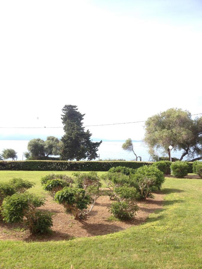 Grand Studio Route Des Sanguinaires Tres Belle Vue Mer Διαμέρισμα Αζάτσιο Εξωτερικό φωτογραφία
