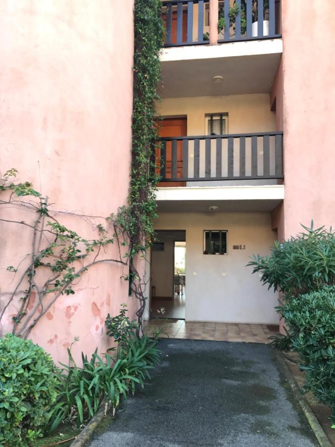 Grand Studio Route Des Sanguinaires Tres Belle Vue Mer Διαμέρισμα Αζάτσιο Εξωτερικό φωτογραφία