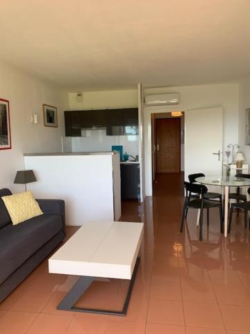 Grand Studio Route Des Sanguinaires Tres Belle Vue Mer Διαμέρισμα Αζάτσιο Εξωτερικό φωτογραφία