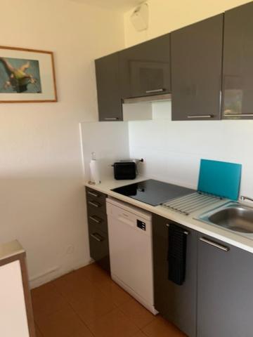 Grand Studio Route Des Sanguinaires Tres Belle Vue Mer Διαμέρισμα Αζάτσιο Εξωτερικό φωτογραφία